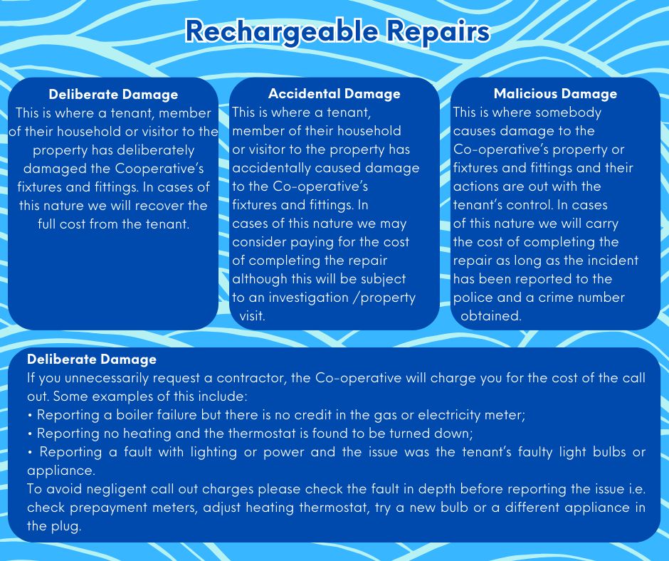 Rechargeable Repairs Chart